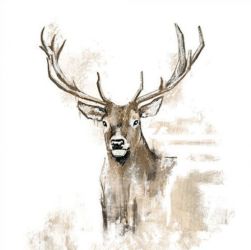 Ambiente Antlers paprszalvta 2 mretben
