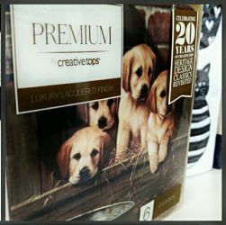 Kitchen Craft Labrador Puppies parafa pohraltt 6 db-os.