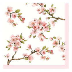 R2S Nuova Sakura paprszalvta