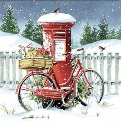 Ambiente Delivery Bike paprszalvta