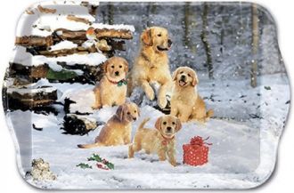Ambiente Golden Retriver klykk kis manyag tlca
