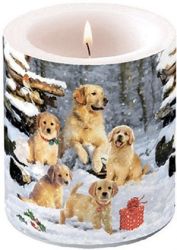 Ambiente Golden Retriver klykk tvilgts gyertya, 2 mretben