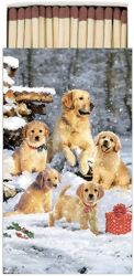 Ambiente Golden Retriver klykk nagy gyufa
