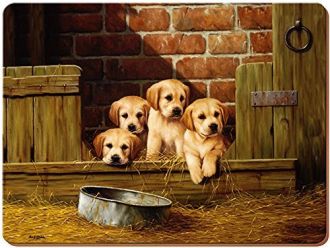 Kitchen Craft Labrador Puppies parafa tnyraltt 4 db-os.