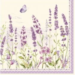 R2S Nuova Lavender Field paprszalvta