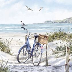 Ambiente Bike on the beach paprszalvta kt mretben