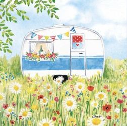 PPD Happy Camping paprszalvta