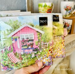 PPD Maison Rose paprszalvta